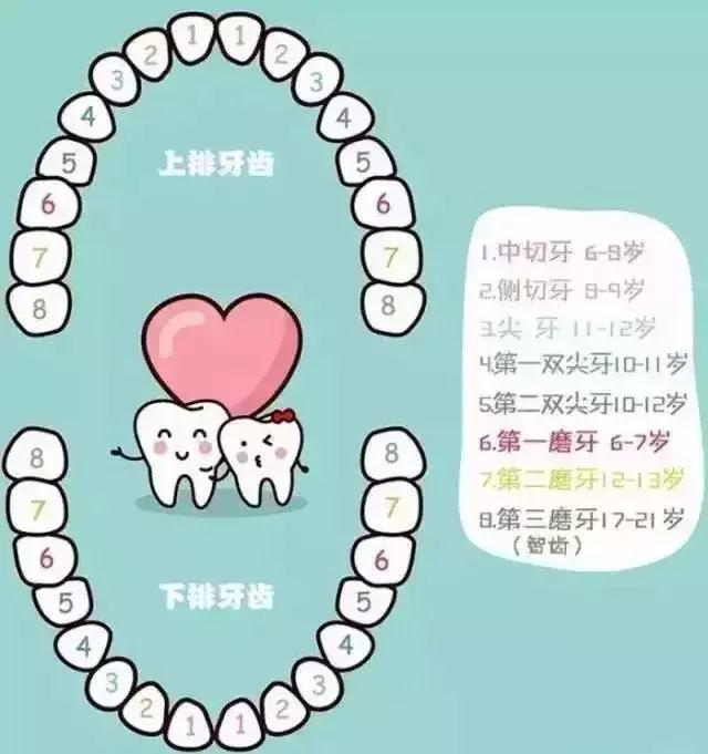 “窝沟封闭”何时做？宝妈必看！儿童口腔健康“双盔甲”！